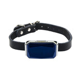 G12 Pet GPS Tracker Collar Anti Lost IP67 WaterProof AGPS LBS WiFi Locator Alarm Finder Real-Time Tracking Device For Dogs Cats