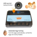 12/15Eggs Incubator Fully Automatic Temperature Control Water Replenishment Thermoregulator Brooder for Chicken Goose Bird Quail