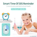 SEAGO Sonic Electric Toothbrush kids Battery Cartoon with Colorful LED Waterproof Soft Oral Hygiene Massage Teeth Care SG977