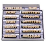 168 pieces/6sets /box Dental Synthetic Polymer Teeth Full Set Resin Denture Dental Teeth Color A2 A3 Size 23 Dentist Materials