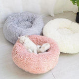 Soft And Cuddly Plush Bed - For Cat And Dog
