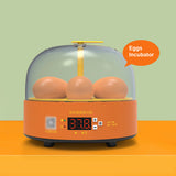 6 Eggs Children Experimental Eggs Incubator Chicken Incubator Eggs Hatching Machine Temperature Control Children Gift