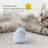 Funny Cat Toy Ninja Tumbler Cat Toys Interactive Pet Toys with Rotating and Stumble Functions Interactively and Automatically