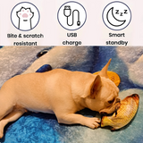 Interactive Dogs Toy Funny Electric Wiggling Fish for Dogs Pet Toothbrush Chew Training Puppy Toy Fit For All Pets Dog Molar Toy
