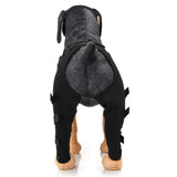 Pet Rear Leg Brace Pet Knee Pads Dog Support Brace for Rear Leg Hock Joint Wrap Breathable Injury Recover Legs Dog Protector D25