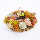 Simple Iron Garden Home Succulents Balcony Wedding Decoration Hanging Basket Flower Pot Holder Wreath Black Heart Shape
