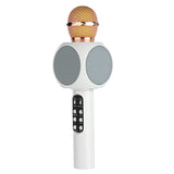Professional Bluetooth Wireless Microphone Speaker Handheld Microphone Karaoke Mic Music Player Singing Recorder KTV Microphone