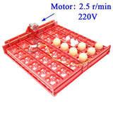 36 Eggs /144 Bird Eggs Duck Goose Pigeon Quail Automatic Incubator Incubation Equipment The Birds Poultry Incubator Equipment