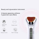 3 In 1 Electric Face Cleaning Device Vibration Facial Massager Nourishing Heating Cleansing Firming Beauty Instrument