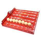 48-60 Eggs 220v/110v/12v Incubator Turn Eggs Tray Chicken Duck Goose Birds Eggs Automatic Incubator Tray