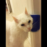 Corner Pet Brush Comb Play Cat Toy Plastic Scratch Bristles Arch Massager Self Grooming Cat Scratcher Corner Pet Brush Comb Pla
