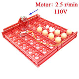 36 Eggs /144 Bird Eggs Duck Goose Pigeon Quail Automatic Incubator Incubation Equipment The Birds Poultry Incubator Equipment